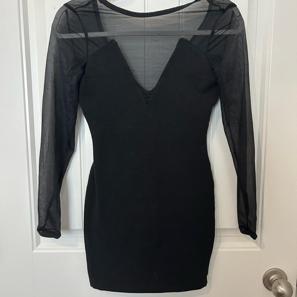 Vintage Mesh Sleeve Mini Dress